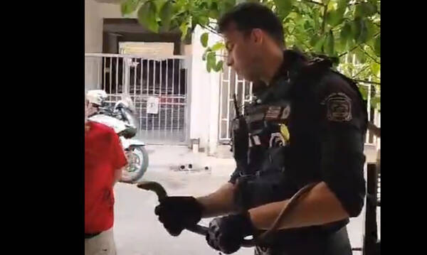 Αστυνομικοί έπιασαν φίδι στο Περιστέρι και το απομάκρυναν 